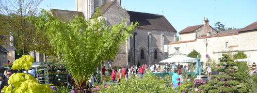 Image Saint Benoit