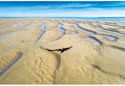 « À Ré sur images » par Jean-Jacques Mabuleau