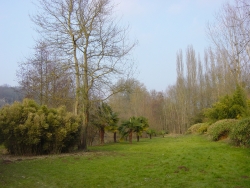 Les jardins de Bayou