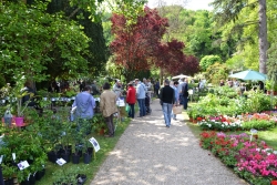 Fleurs de mai 2019