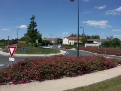 Aménagement espace vert