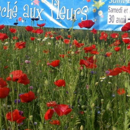 marché aux fleurs