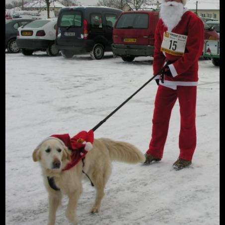 Père Noël et Chien de Traineau