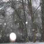 base de Canoë Kayak 