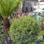 Marché aux Fleurs 2
