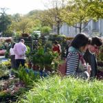 Marché aux Fleurs 4