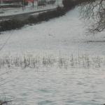 Avant les constructions