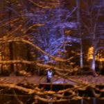 Bord du Clain la nuit