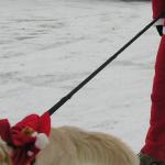 Père Noël et Chien de Traineau