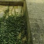 le viaduc vu d'en bas