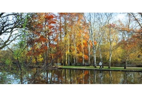 Exposition « Entre vert clair et vert foncé »